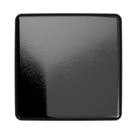 FZ - SHINY BRUSHED BLACK CHROME